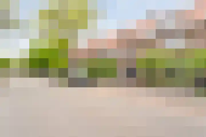 Brederostraat 53 Zwolle thumbnail 4