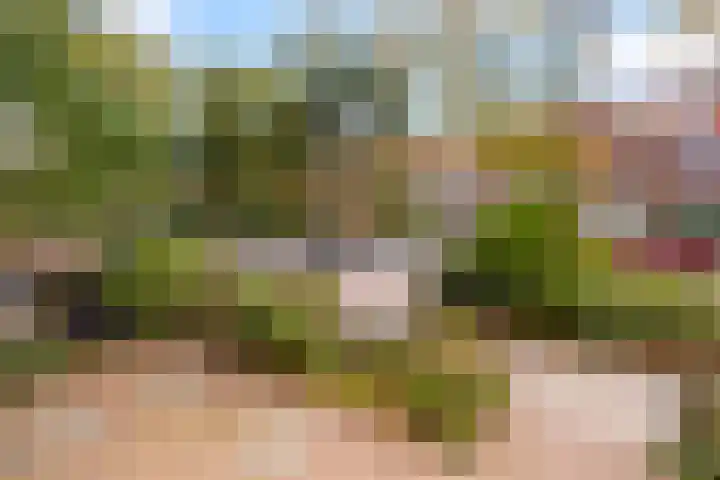 Brederostraat 57 Zwolle thumbnail 4