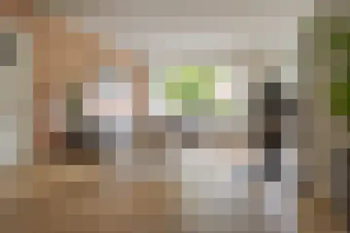 Brederostraat 6 Zwolle thumbnail 20