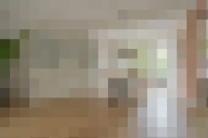 Brederostraat 6 Zwolle thumbnail 22