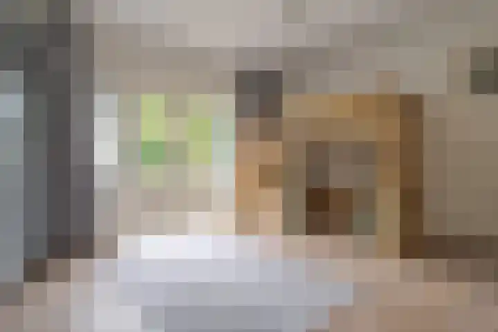 Brederostraat 6 Zwolle thumbnail 36