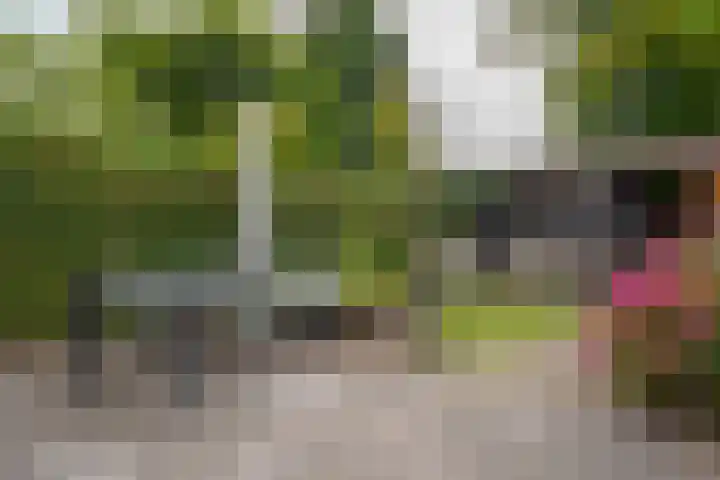 Brederostraat 6 Zwolle thumbnail 4