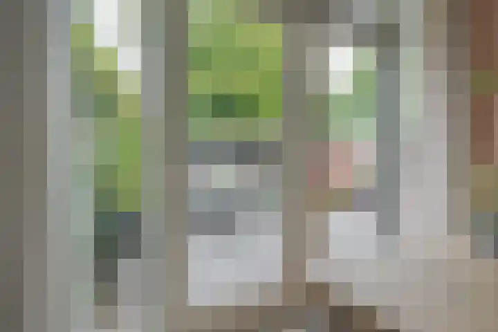 Brederostraat 6 Zwolle thumbnail 54
