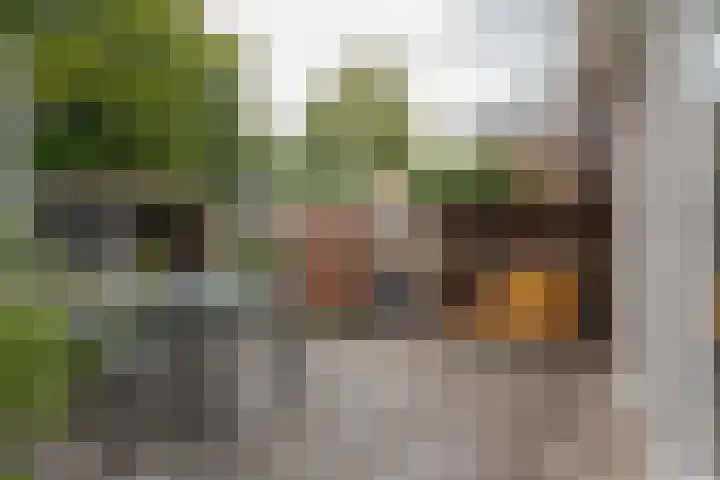 Brederostraat 6 Zwolle thumbnail 57