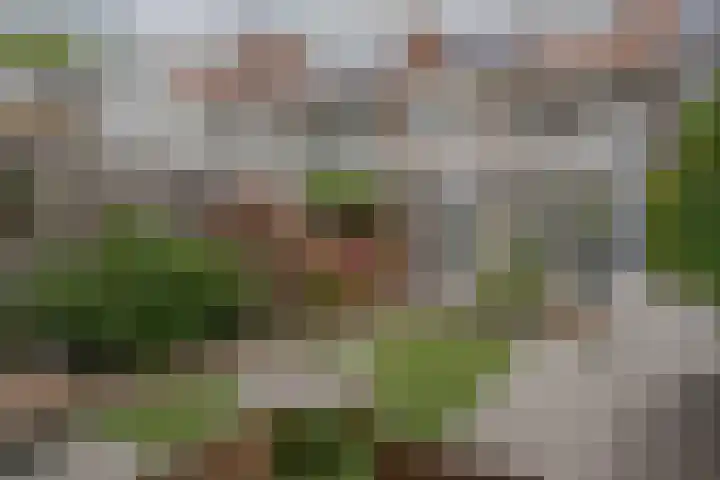 Brederostraat 6 Zwolle thumbnail 61