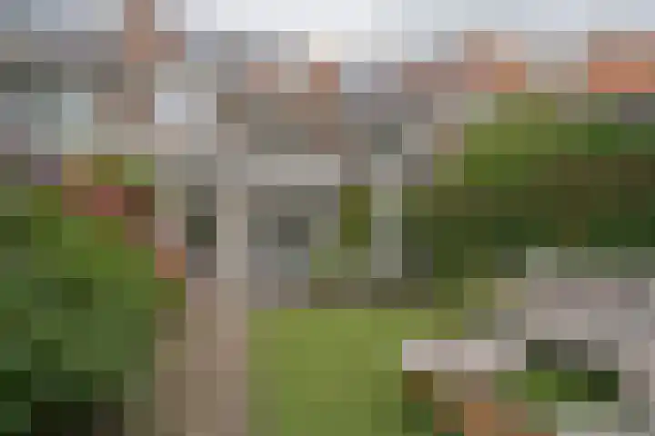 Brederostraat 6 Zwolle thumbnail 64