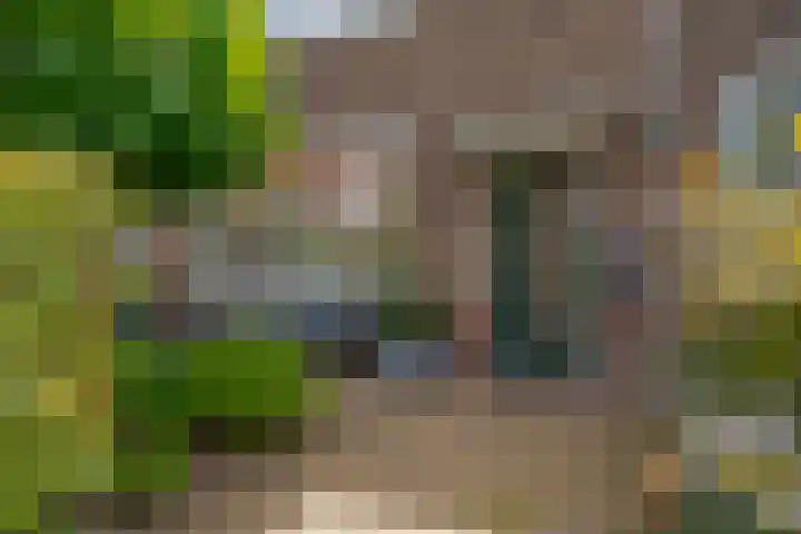 Brederostraat 6 Zwolle thumbnail 7
