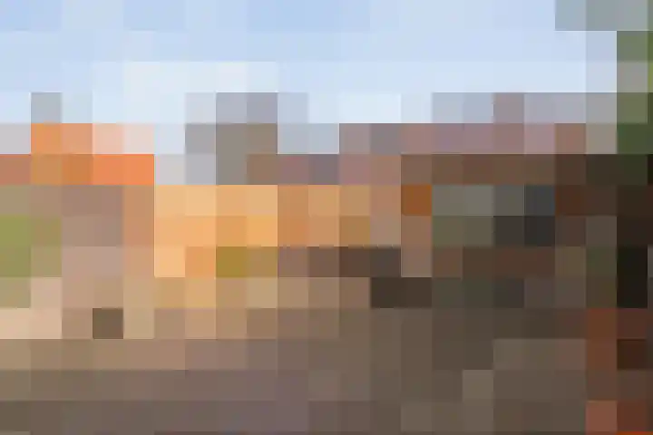 Brederostraat 68 Zwolle thumbnail 32