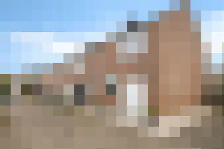 Brederowende 12 Hillegom thumbnail 13