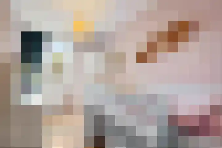 Brederowende 12 Hillegom thumbnail 16