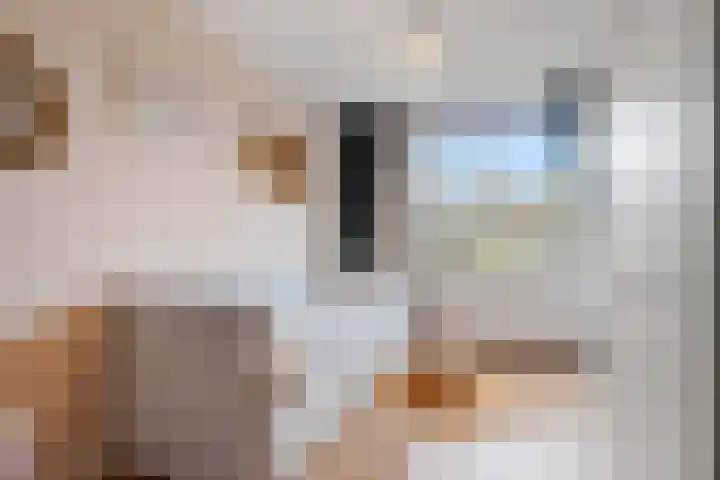 Brederowende 12 Hillegom thumbnail 18
