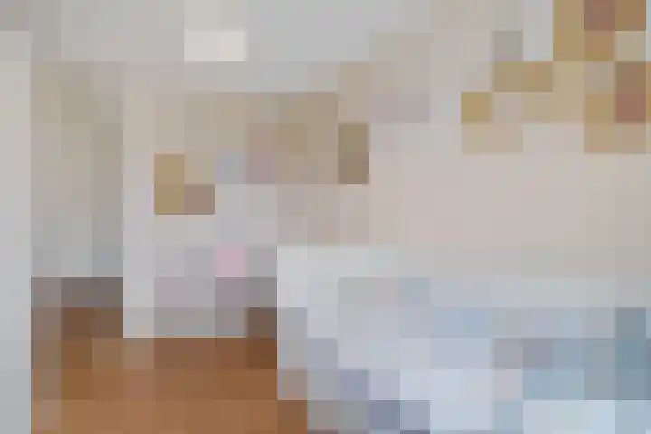 Brederowende 12 Hillegom thumbnail 19