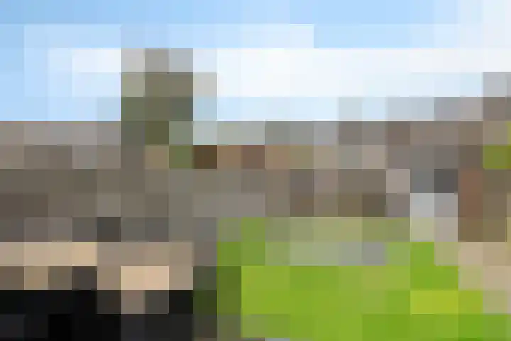 Brederowende 12 Hillegom thumbnail 26