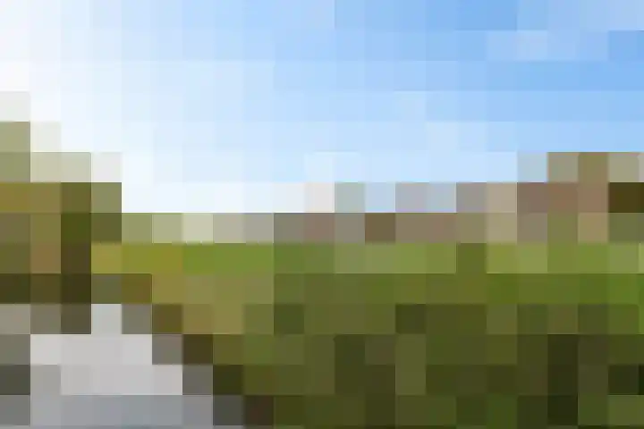 Brederowende 12 Hillegom thumbnail 28