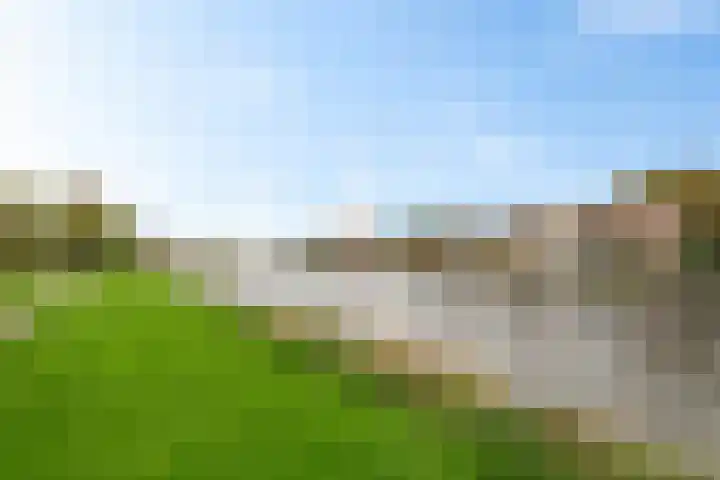 Brederowende 12 Hillegom thumbnail 29