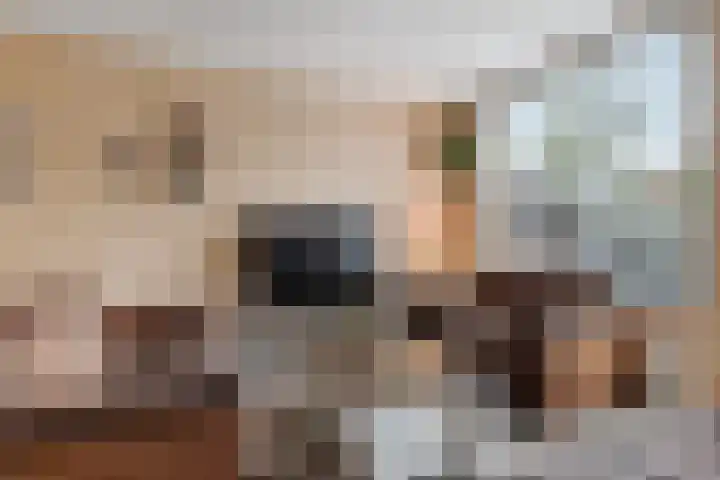 Brederowende 12 Hillegom thumbnail 6