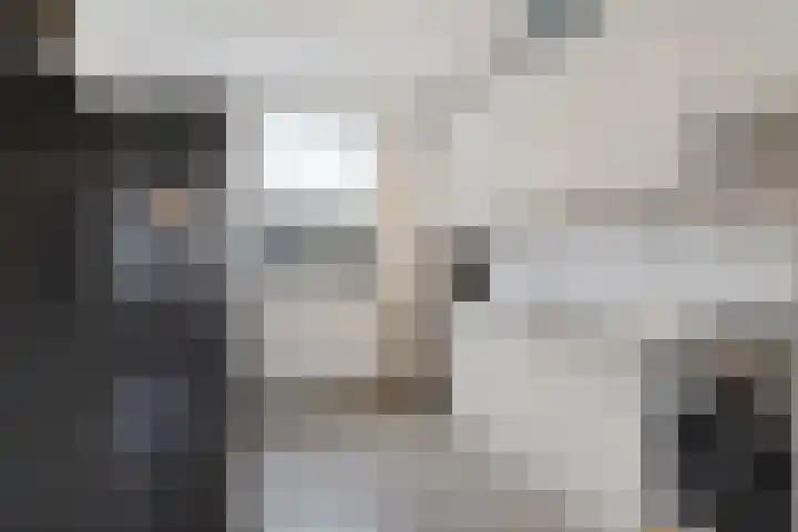 Brederowende 12 Hillegom thumbnail 8