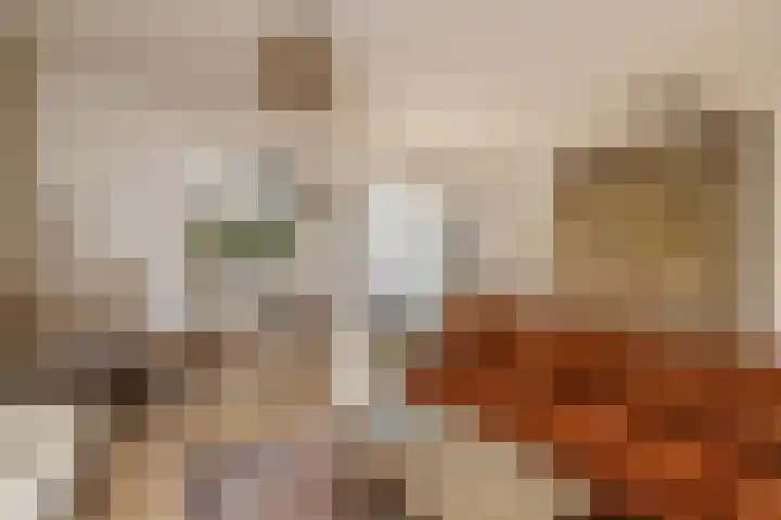 Brederowende 4 Hillegom thumbnail 10