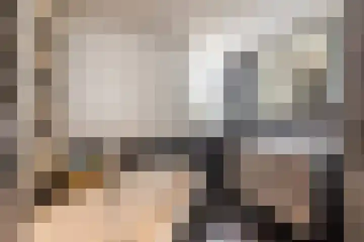 Brederowende 4 Hillegom thumbnail 23