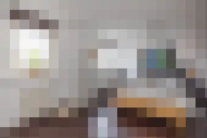 Brederowende 4 Hillegom thumbnail 26