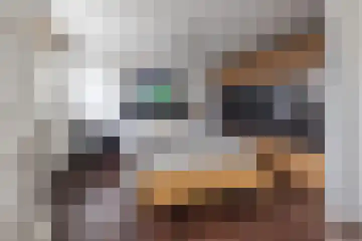 Brederowende 4 Hillegom thumbnail 27