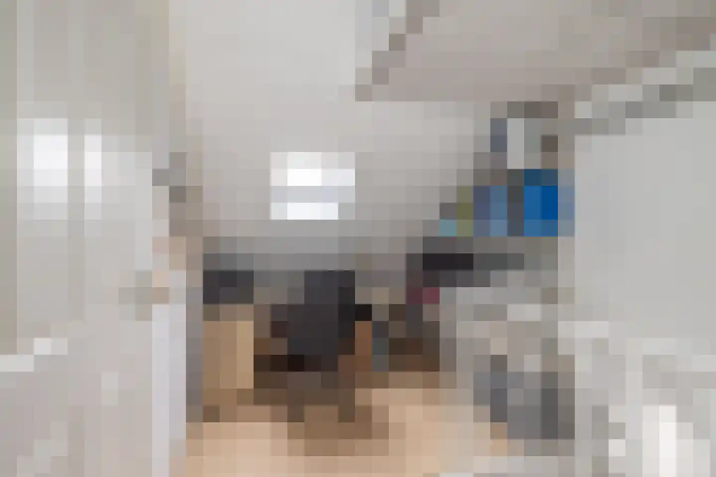 Brederowende 4 Hillegom thumbnail 31