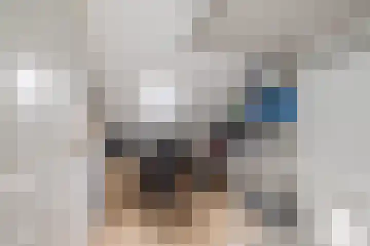 Brederowende 4 Hillegom thumbnail 31