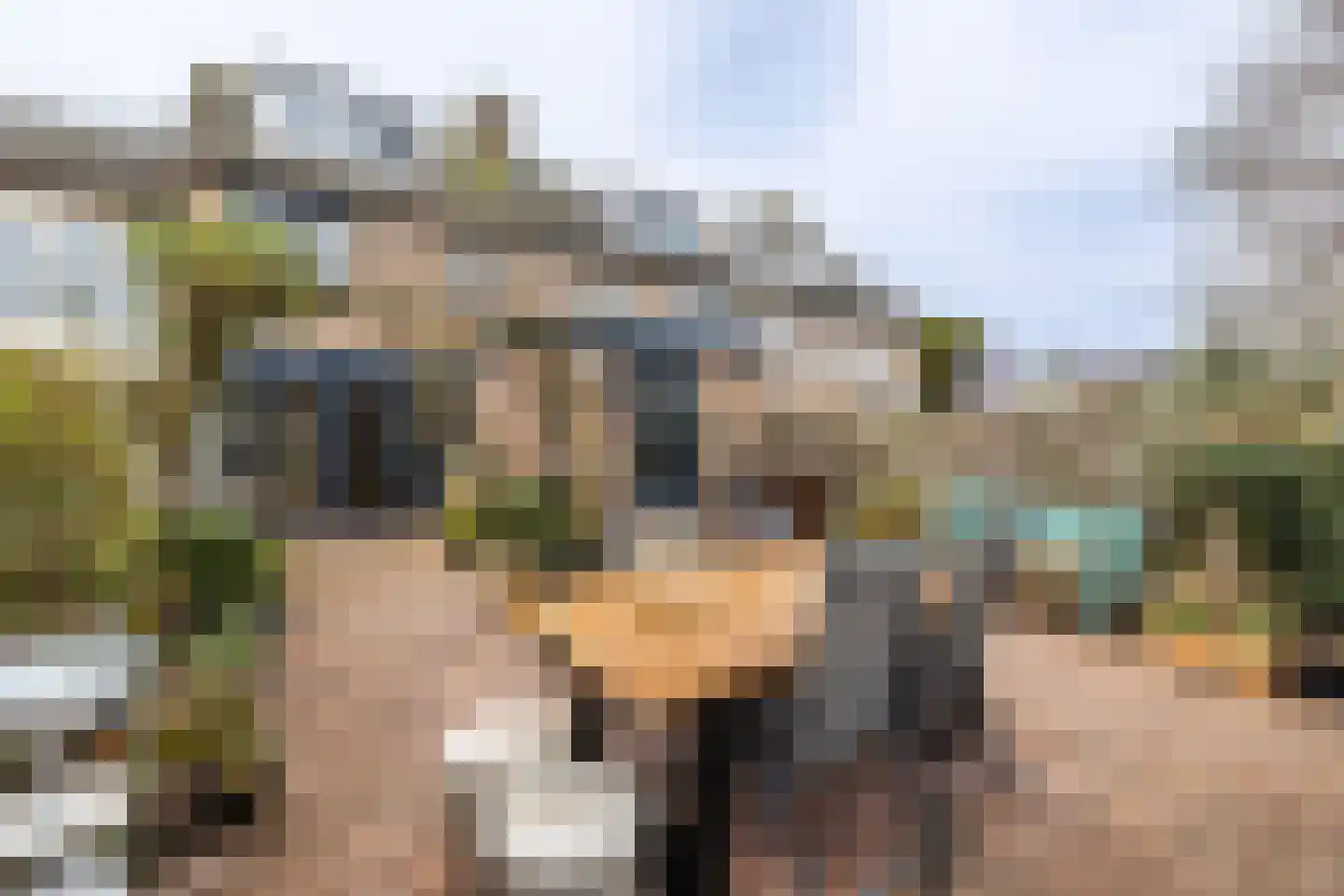 Brederowende 4 Hillegom thumbnail 36