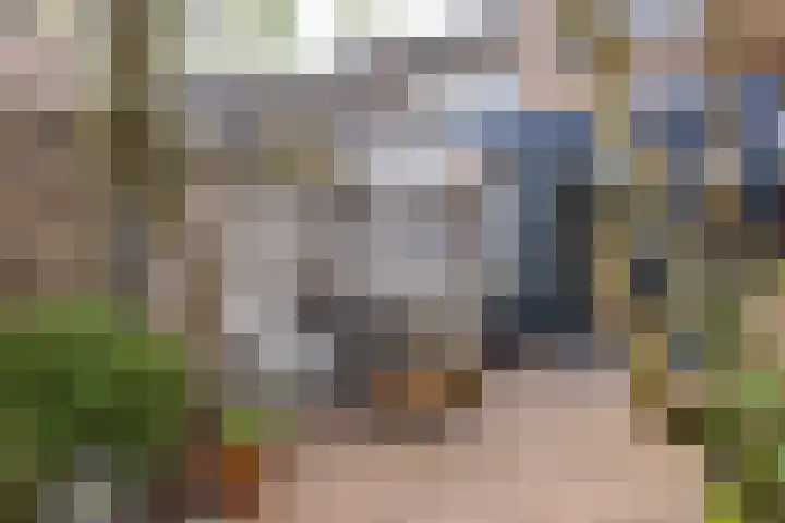 Brederowende 4 Hillegom thumbnail 37