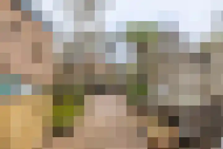 Brederowende 4 Hillegom thumbnail 38