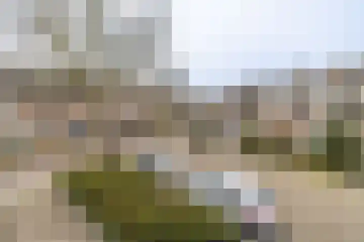 Brederowende 4 Hillegom thumbnail 45