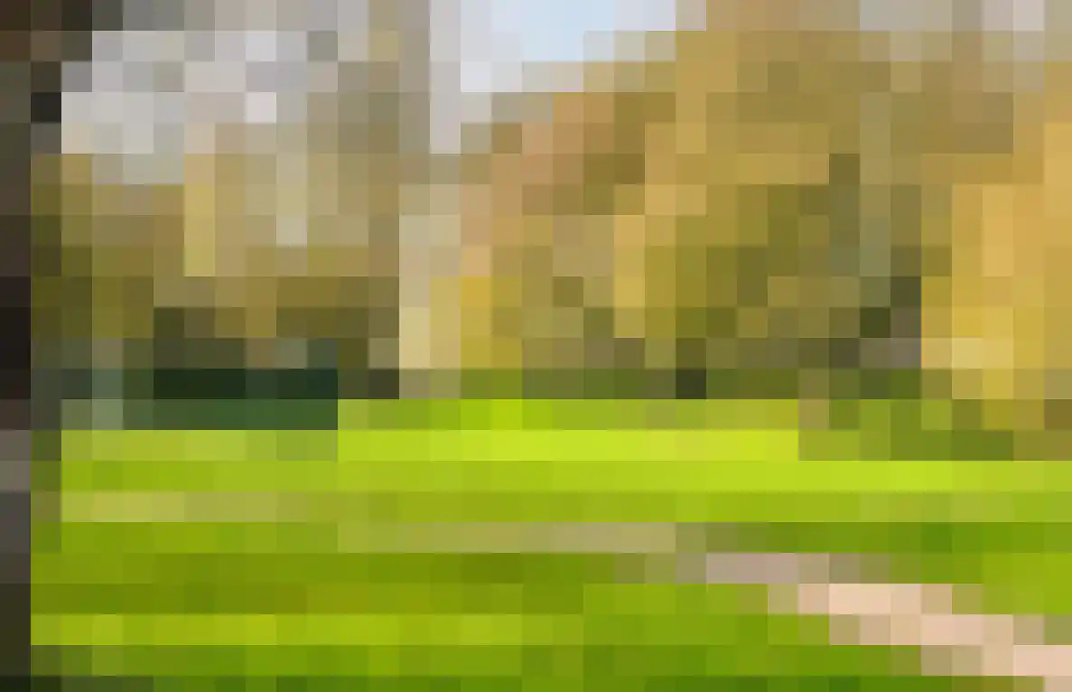 Brederowende 4 Hillegom thumbnail 47