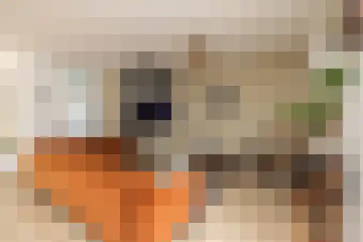 Brederowende 4 Hillegom thumbnail 9