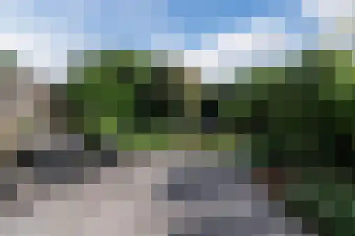 Brederowende 9 Hillegom thumbnail 11