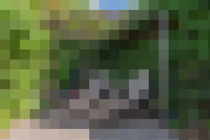 Brederowende 9 Hillegom thumbnail 12