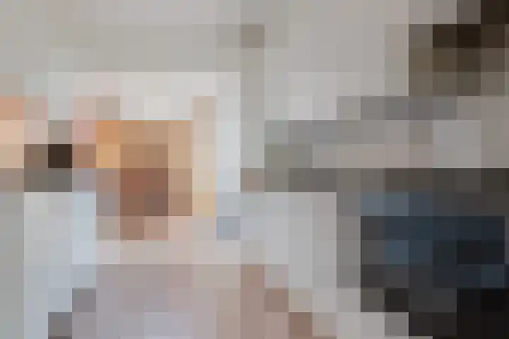 Brederowende 9 Hillegom thumbnail 15