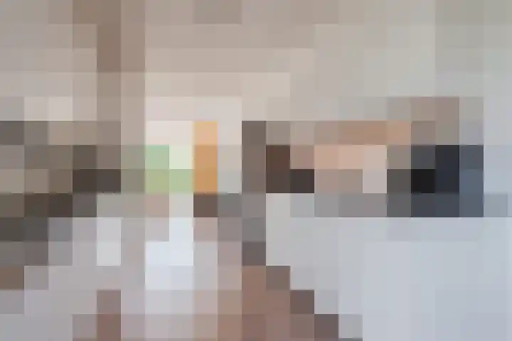 Brederowende 9 Hillegom thumbnail 20