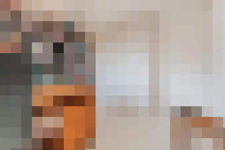 Brederowende 9 Hillegom thumbnail 29