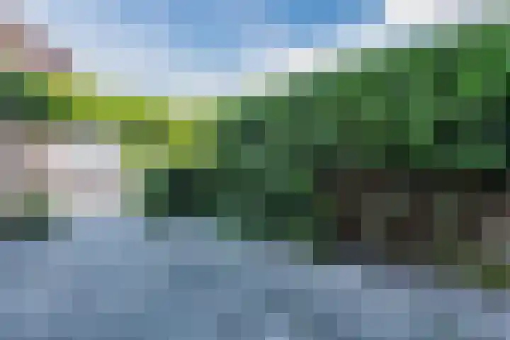 Brederowende 9 Hillegom thumbnail 4