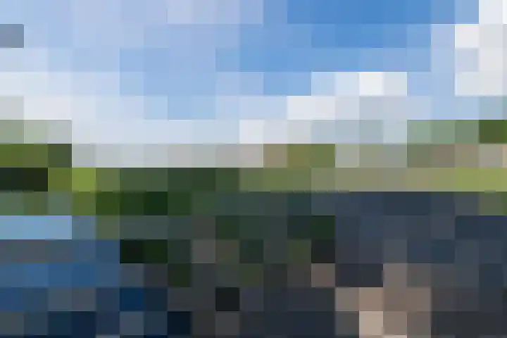 Brederowende 9 Hillegom thumbnail 45