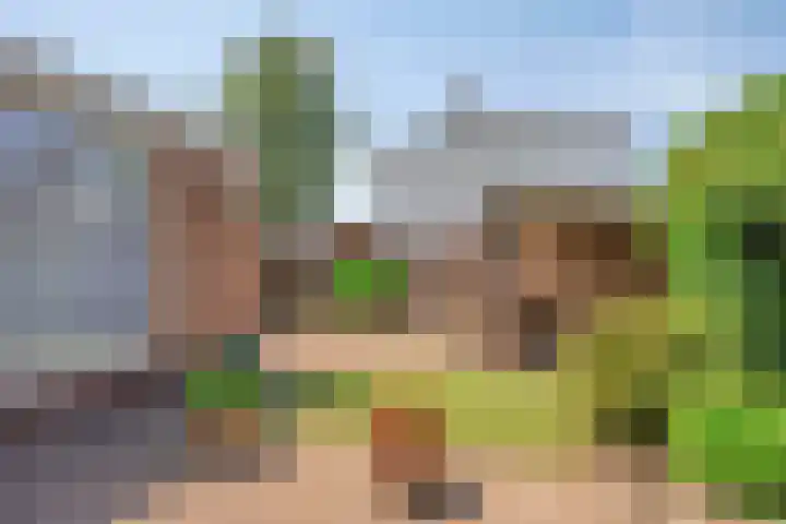 Bredestraat 1 Rosmalen thumbnail 25