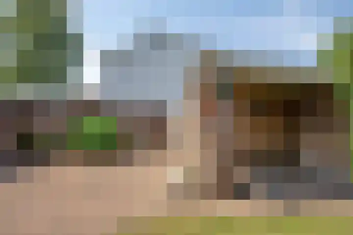 Bredestraat 1 Rosmalen thumbnail 26