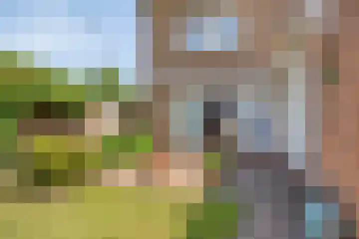 Bredestraat 1 Rosmalen thumbnail 27