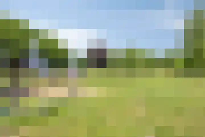 Bredestraat 1 Rosmalen thumbnail 30