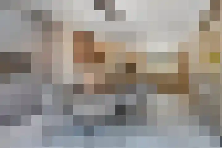 Bredestraat 10 Rosmalen thumbnail 11