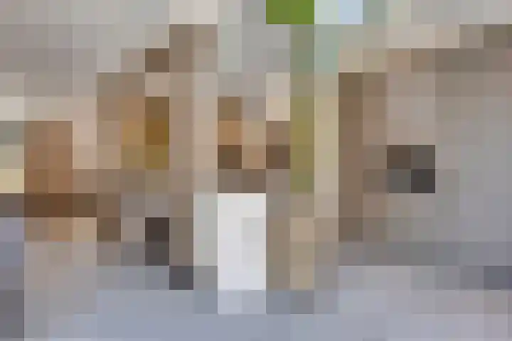 Bredestraat 10 Rosmalen thumbnail 12