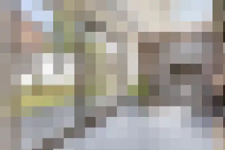 Bredestraat 10 Rosmalen thumbnail 17