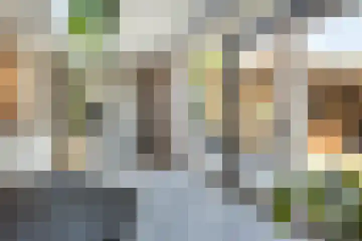 Bredestraat 10 Rosmalen thumbnail 18