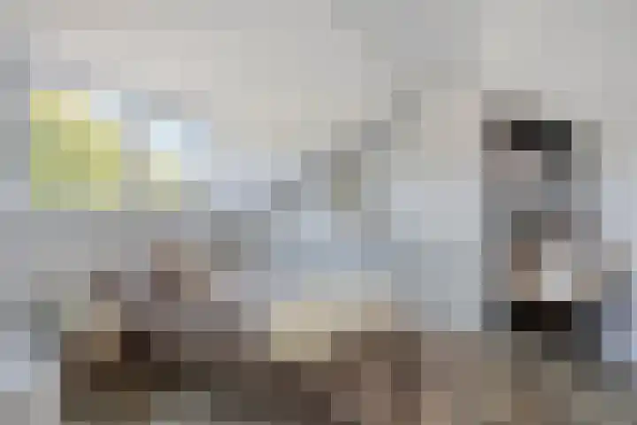 Bredestraat 10 Rosmalen thumbnail 33