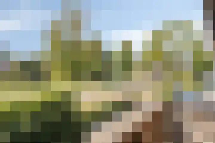 Bredestraat 10 Rosmalen thumbnail 35